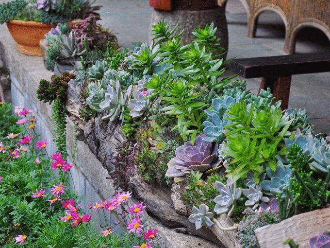 苍山徒步最全攻略｜夏末秋初去大理，苍山碧*欲色**流，洱海烟波浩渺