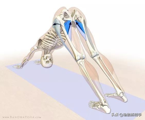 瑜伽18个基本体式,18个瑜伽体式正确图