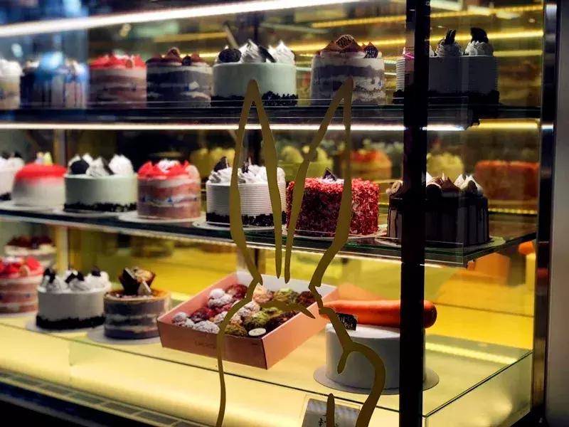 深圳这次入冬成功了吗,深圳终于进入了深秋的天气