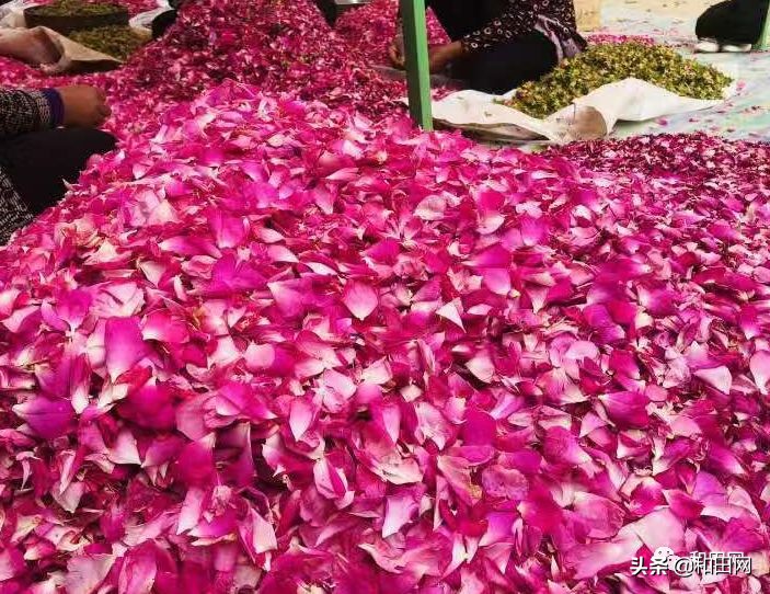 和田欣明南国城美食,和田欣明南国城音乐餐吧联系方式