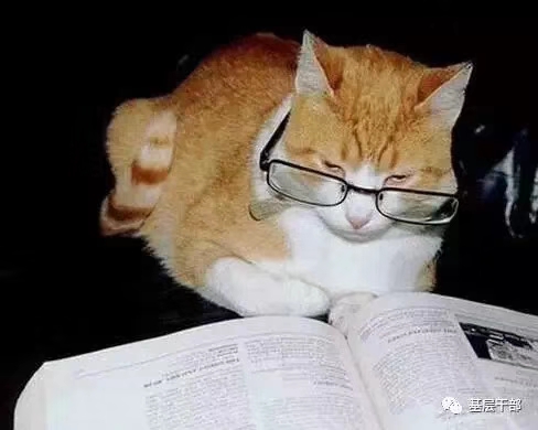 文言文的诀窍,掌握精髓文言文怎么说