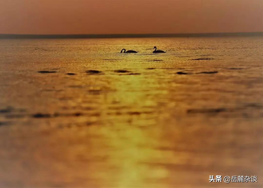 蝴蝶翩飞在天鹅湖上——记展翅高飞的湖南省演艺集团