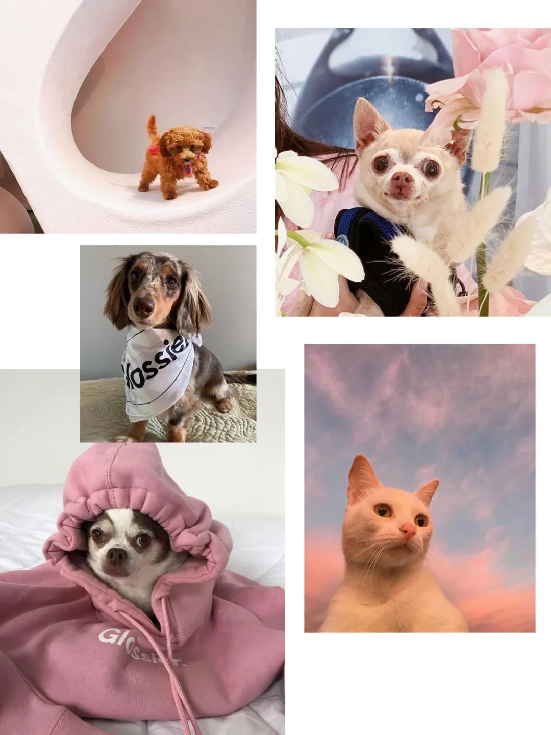 小众彩妆欧美风图片女,彩妆国货小众品牌推荐女