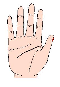 手相解密,手相掌纹分析学