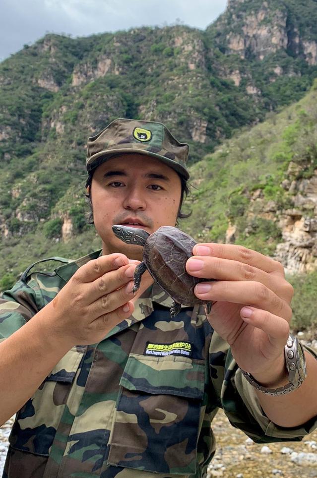 放生变杀生？北京发现两只放生的中华草龟，专家：冬天会冻死