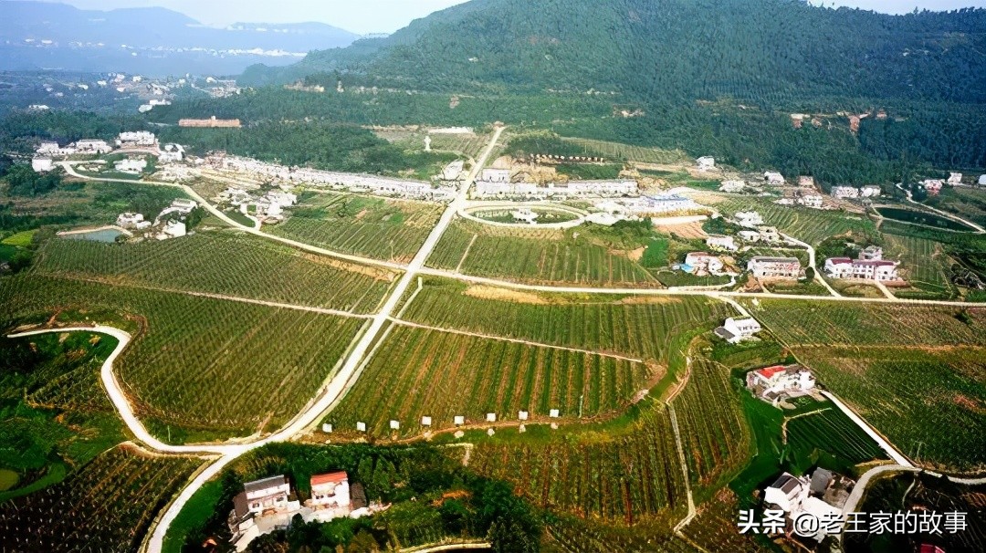 2020年重点农业项目有哪些,2021国家重点扶持的农产品项目