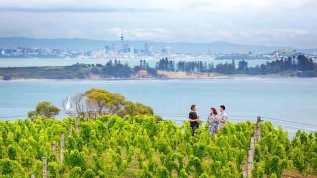 新西兰的美食,新西兰旅游必吃十大美食