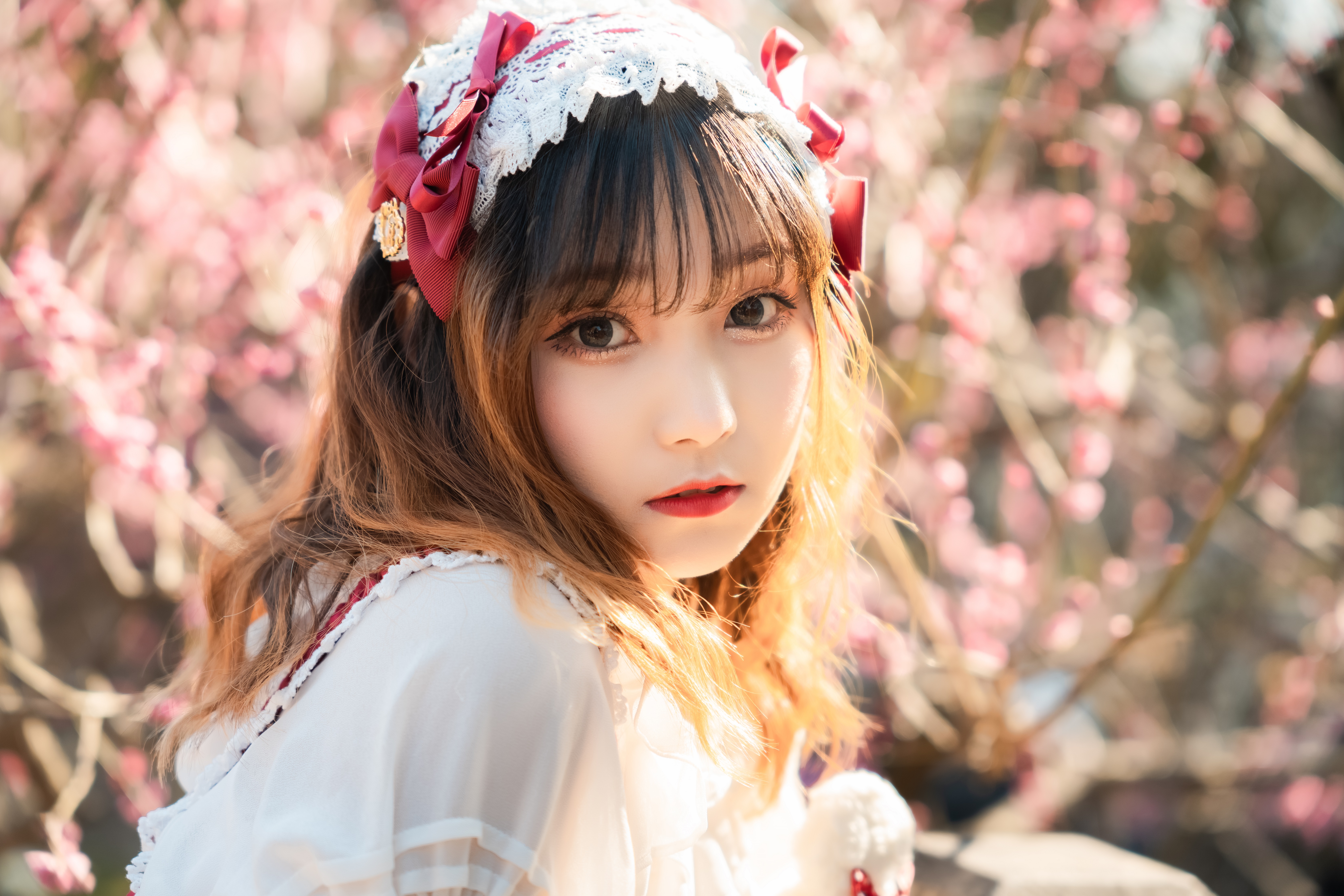 适马24-702.8二代镜头测评,适马新出的24-702.8镜头怎样