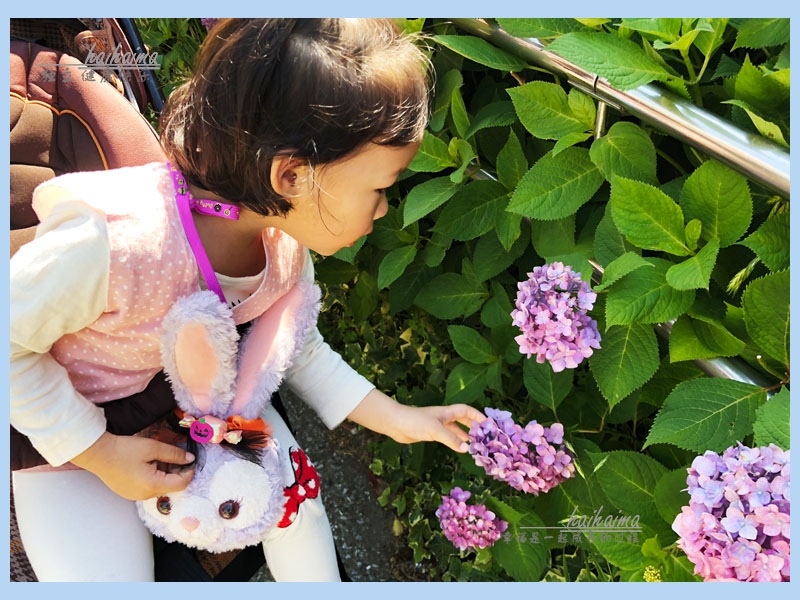 日本东京带娃旅游最好的时间,日本东京带娃