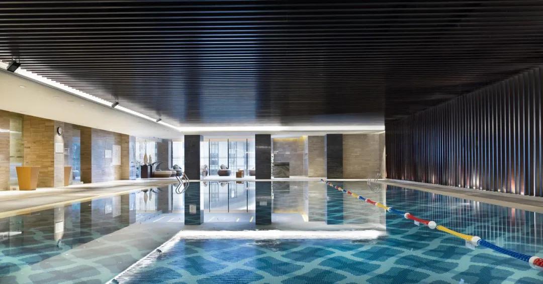 海滨老城泡桐花 (海滨老城紫色泡桐花)