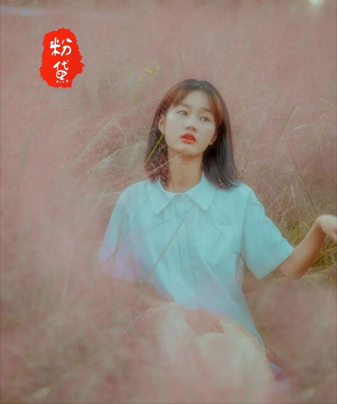 粉黛乱子草红了！成都周边这6个地方，不收门票这周就能去