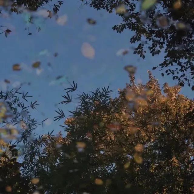 癌症患者日记说不出的心酸,此生未完成于娟生命日记完整版