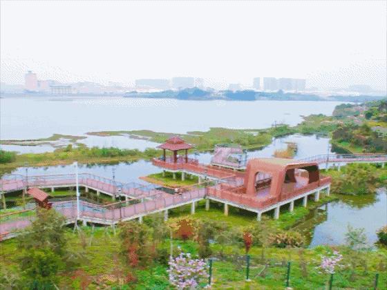 湖泊风景区推荐,深圳十大免费主题公园