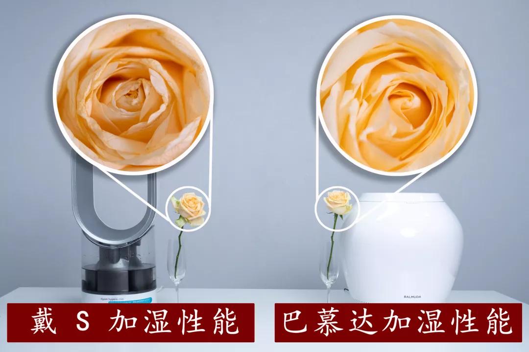 日本殿堂级加湿器：无雾无菌，净化空气，重新定义空气湿度的意义