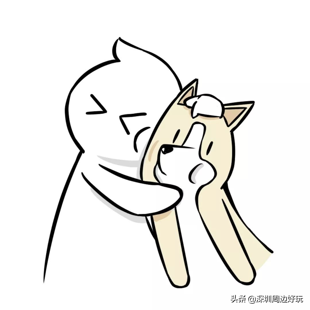 住在深圳的人,住在深圳的市民