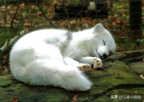 民间灵怪真实故事,民间志怪灵异故事传奇