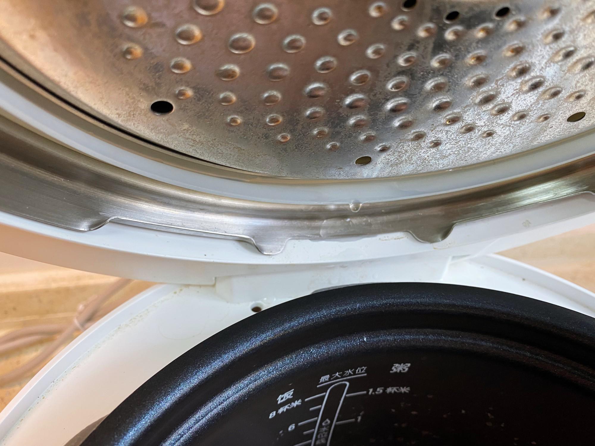 蒸煮两用电压力锅哪个牌子好,家用压力锅和微压锅哪个好