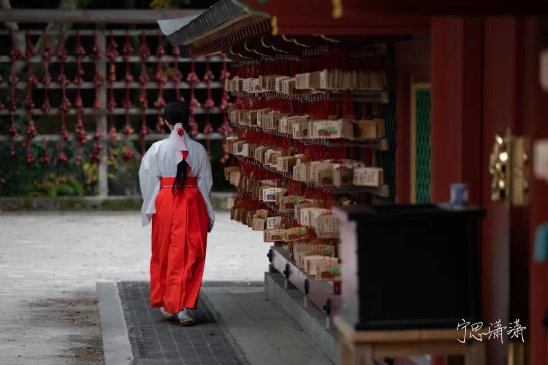 “5”缘有缘我与摄影的故事也是我与佳能“5”的故事