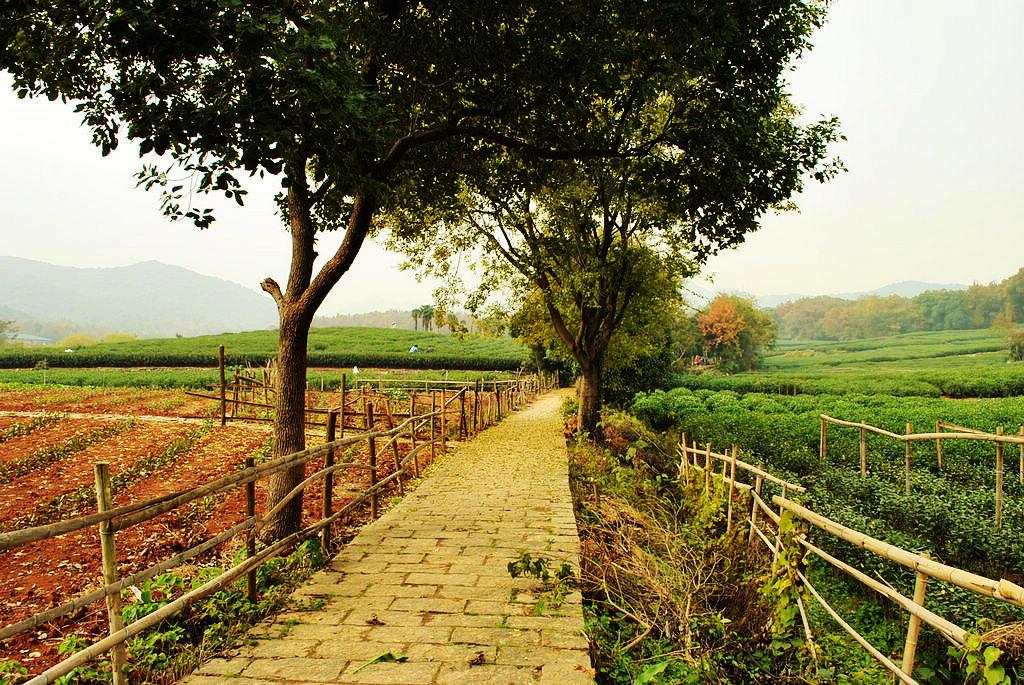 西湖附近哪个地方的民宿好,来西湖玩住宿平价