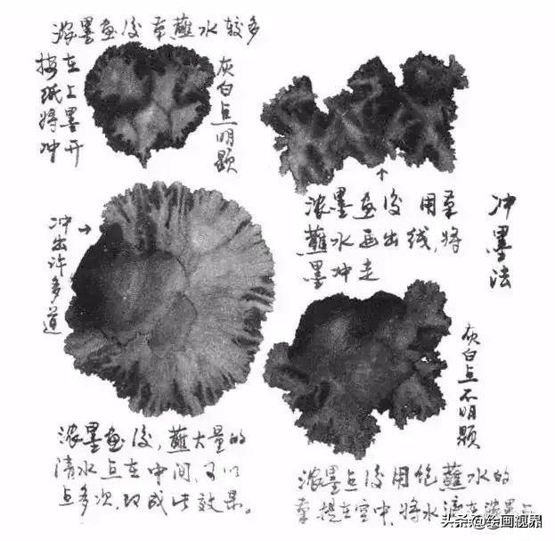 国画没有书法基础,国画没有基础最好先学哪些入手
