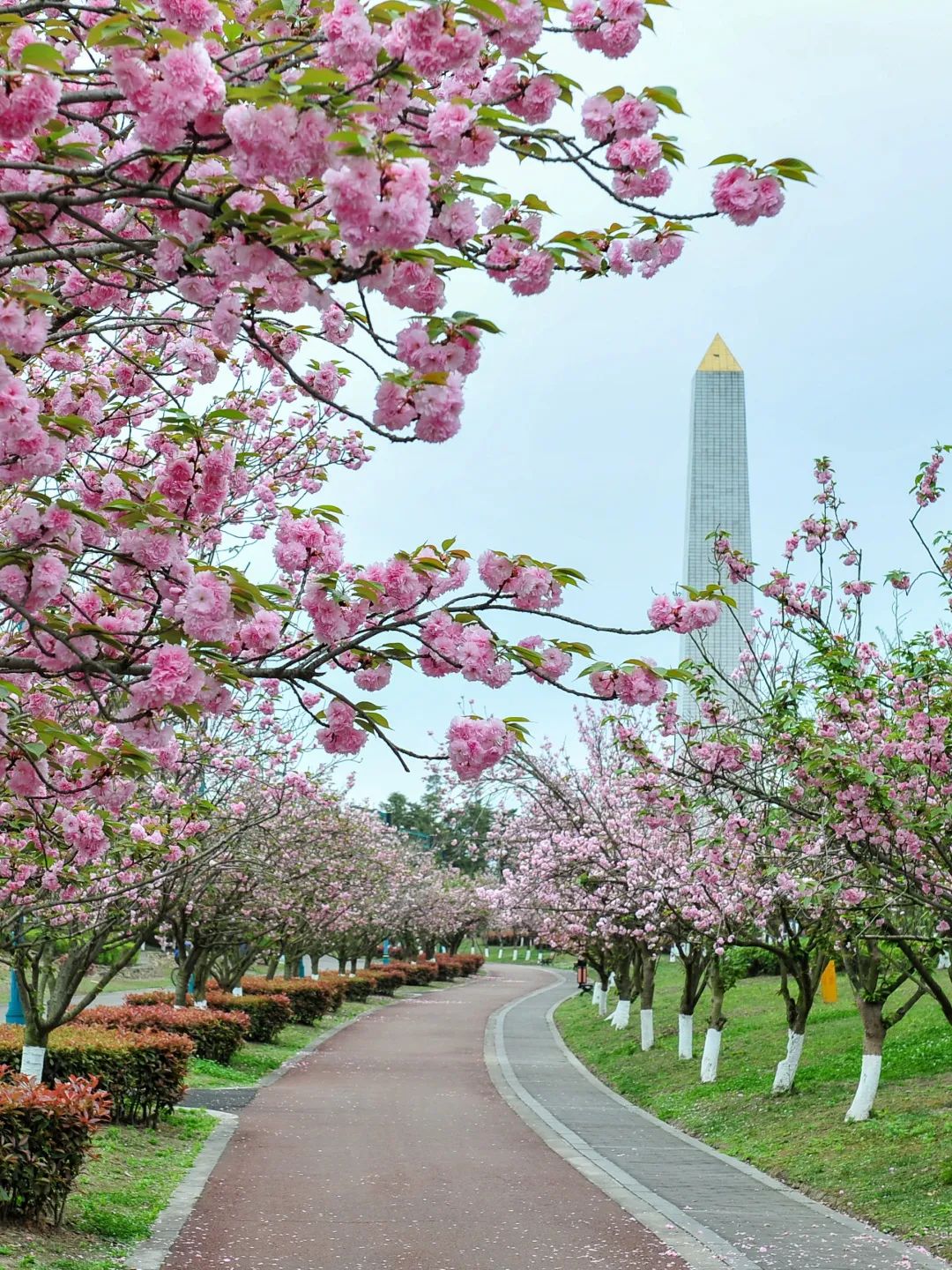 成都哪里的绿道最好,成都绿道最好的地方