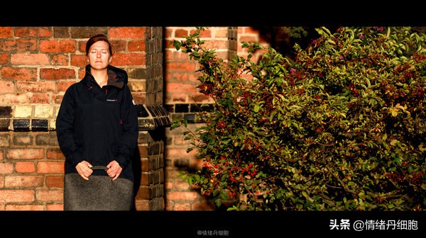 可以去玩一整天的地方,能玩一两天的地方