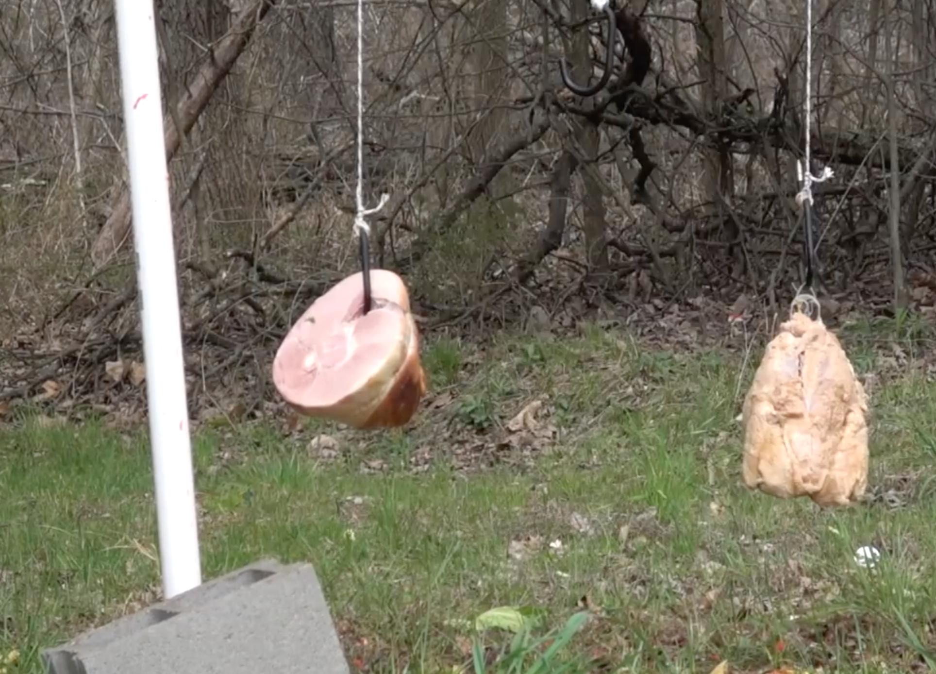 民用版的“巴雷特”，世界上最危险的步枪