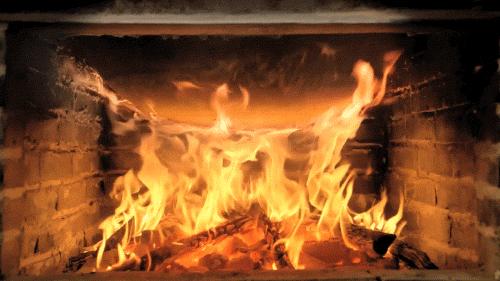 又一厨房“新物种”开始流行！还原传统“柴火饭”，好吃又安全