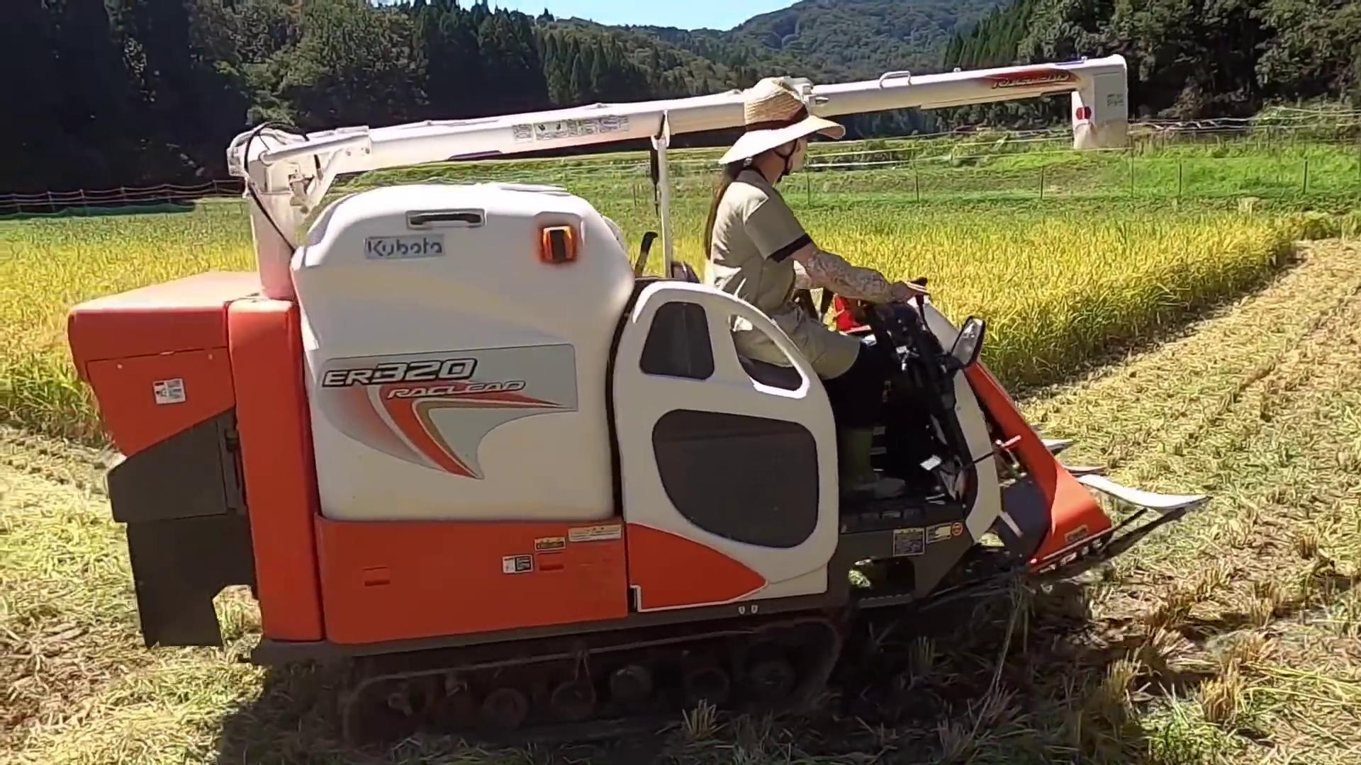 久保田230小型水稻收割机,小型久保田收割机2023新款价目表