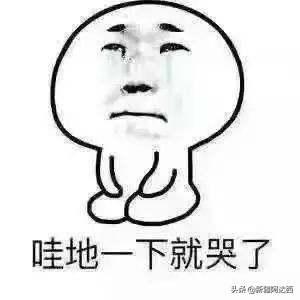 疆优质特产,盘点十大新疆的特产