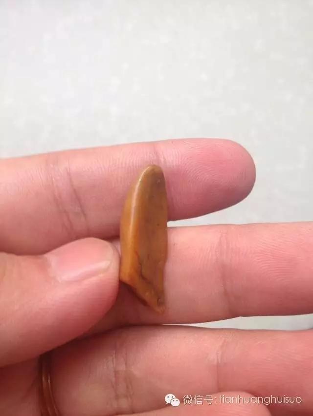 福州哪里有鉴定寿山田黄原石,福建寿山田黄鸡油黄