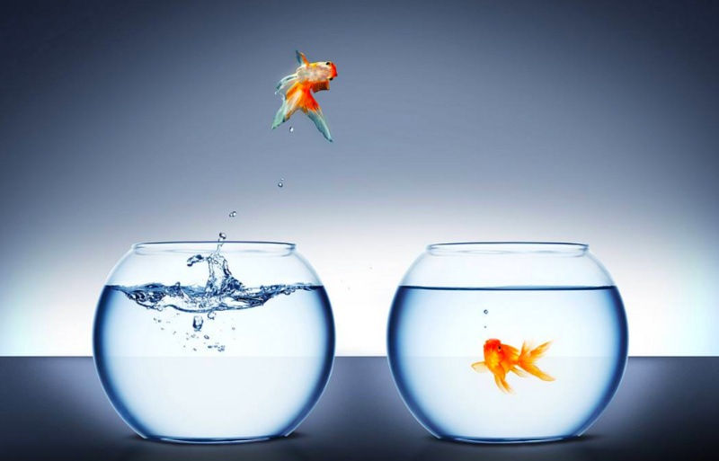 如果有一天你落魄了一定要告诉我,如果有一天你真的穷