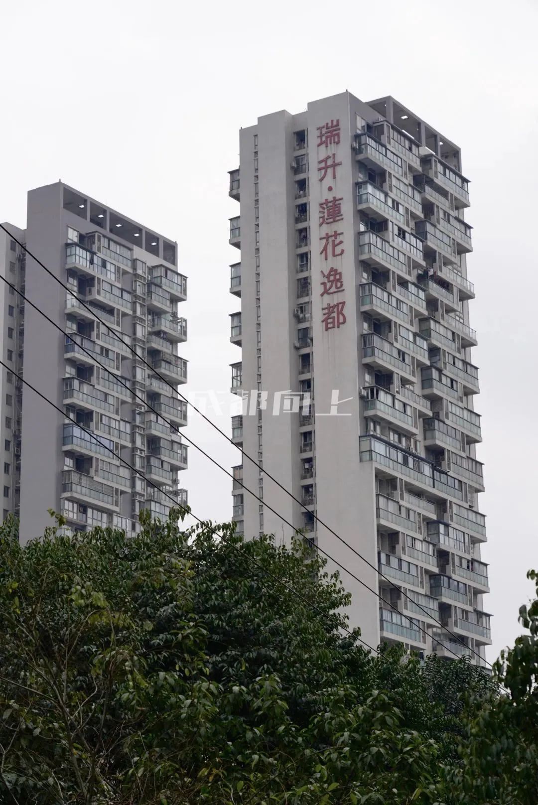 濡備綍鎶婃垚閮芥墦閫犳垚缃戠孩鍩庡競,鎬庢牱鎵嶅彲浠ヨ鎴愰兘鍙樻垚鍖椾含