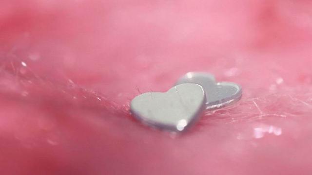 人在单位要懂得装糊涂,单位里较真的人