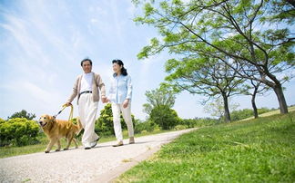 肚子硬呕吐怎么回事,肚子硬胃硬怎么回事