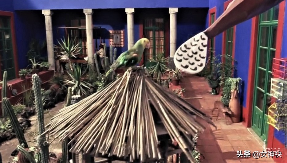 美艳女明星筹拍七年，被迫全裸出演，成就奥斯卡传奇女性电影