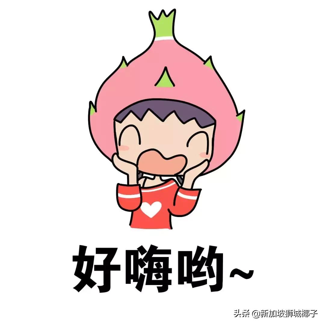 新加坡10大必买零食,新加坡最火的十大美食