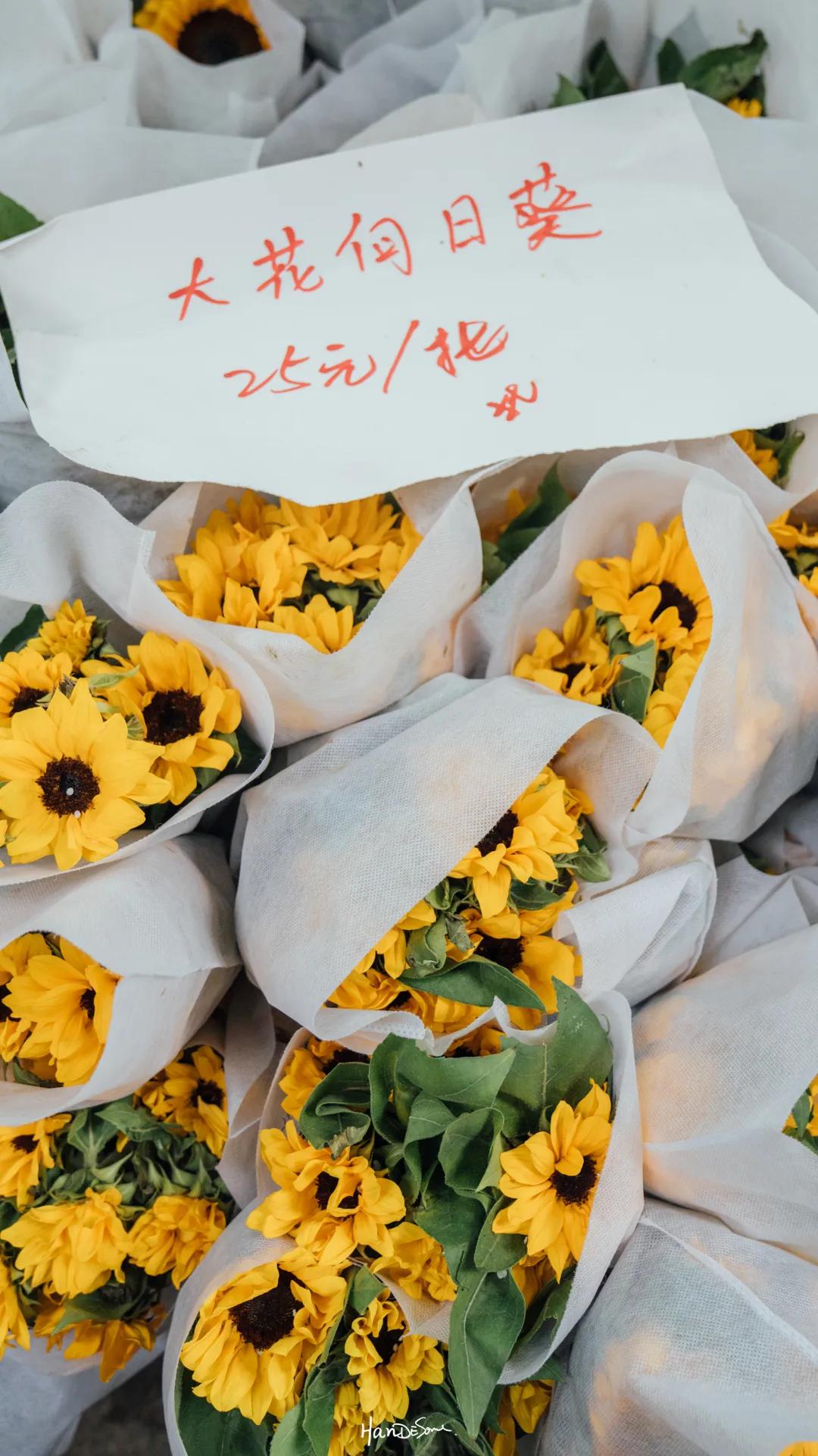 武汉地铁循礼门鲜花花市,武汉循礼门花市蓝色玫瑰