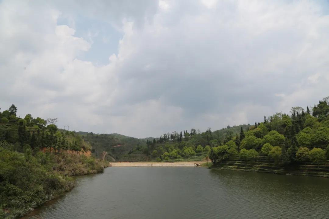 「茗边聚焦七彩云南·庆沣祥系列报道之③」浅谈百山百味