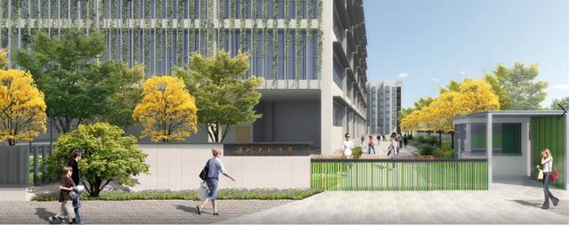 深圳市中新中学是国际高中吗,深圳市中新中学好吗