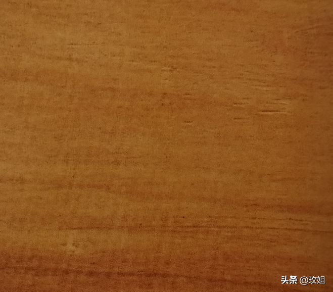 硬枫原木,硬岩枫树