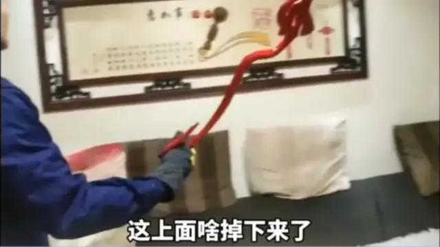 女子报警赤链蛇,女子家中发现红色长蛇