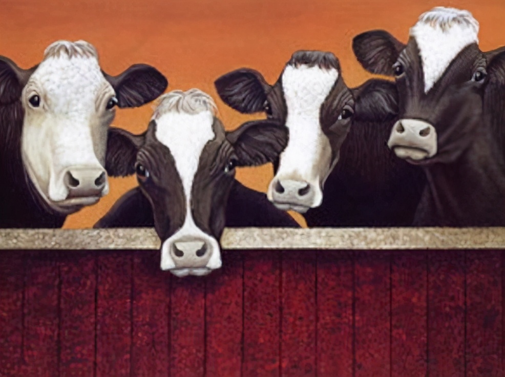 初生婴儿喝什么牌子奶粉好求推荐,1分钟了解初生婴儿奶粉怎么选