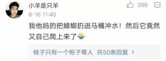 断头不死，马桶里重生，南方蟑螂凭什么把北方汉子吓出猪叫