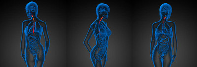 嗓子嘶哑咽口水痛咳嗽怎么回事,咽干异物感咳嗽吃什么药