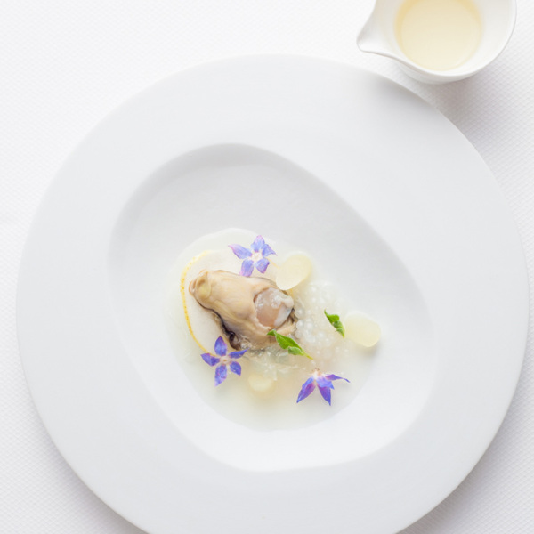 摆盘装饰花草叫什么名字,厨房摆盘装饰花草名称