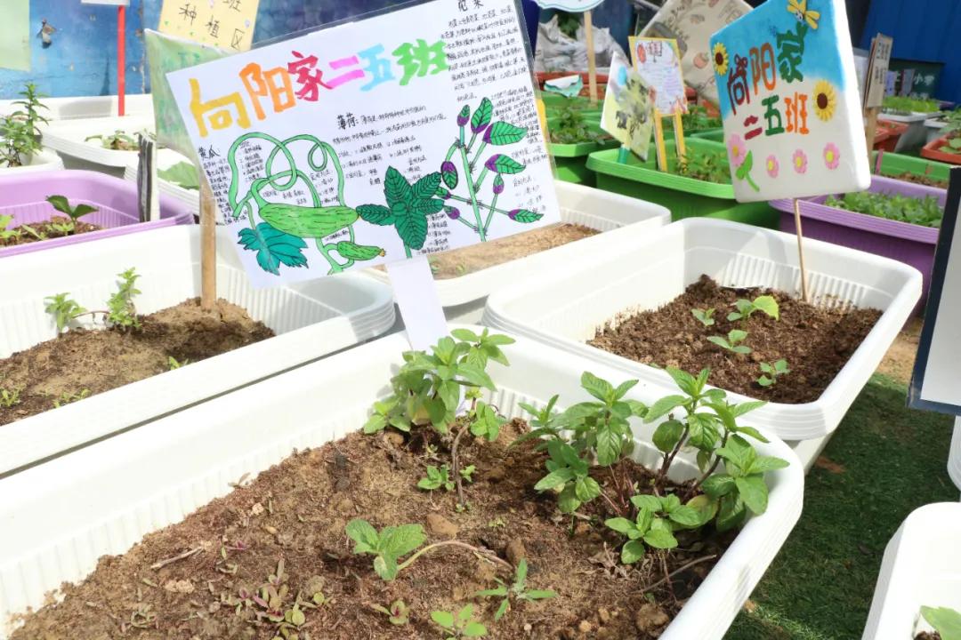 郑州郑上路小学,郑州市中原区郑上路小学