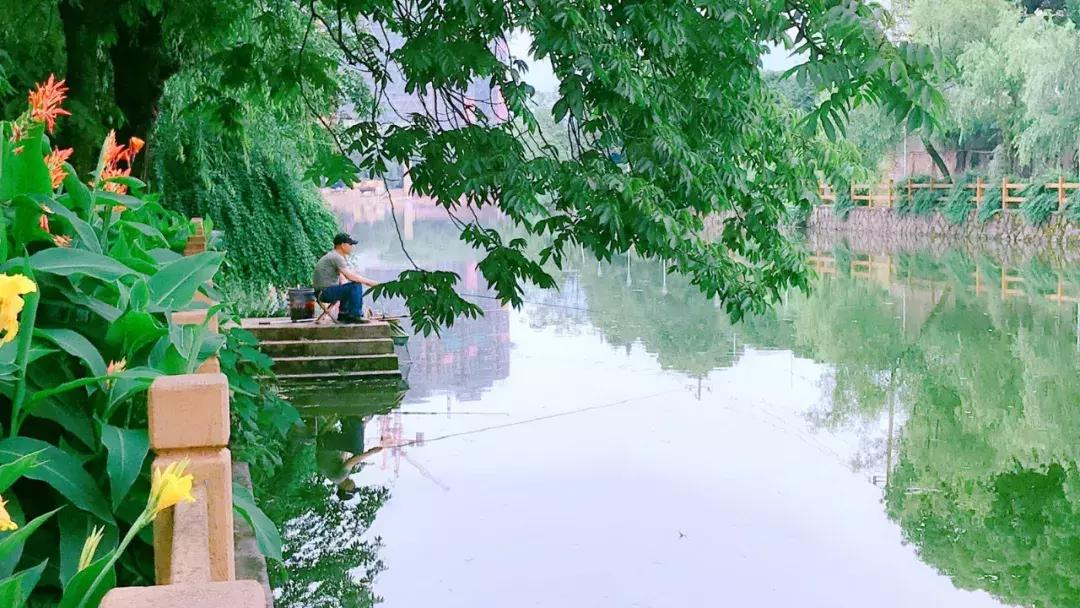 央视挖出来浙江冷门小城，小小鸭头都是世间绝味，人均100+住别墅