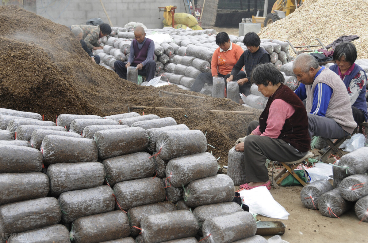 乡村振兴下的农村创业前景分析,乡村振兴山区农业出路在哪里