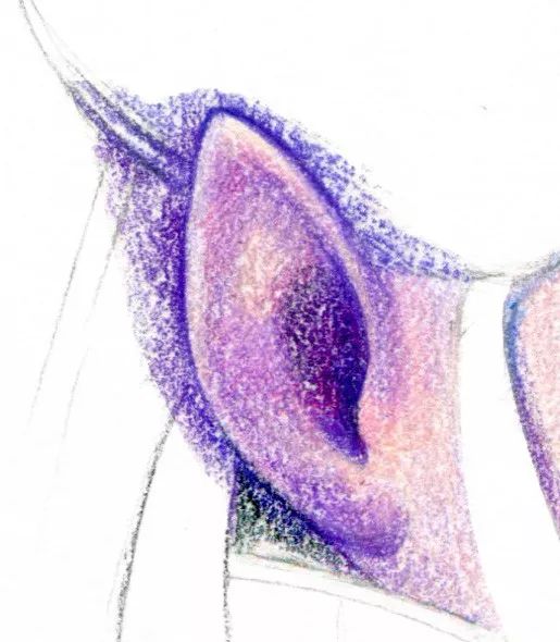 敖丙龙怎么画又帅气又好看,哪吒之魔童降世哪吒敖丙怎样画